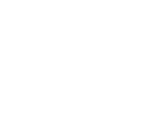 EBV Logo